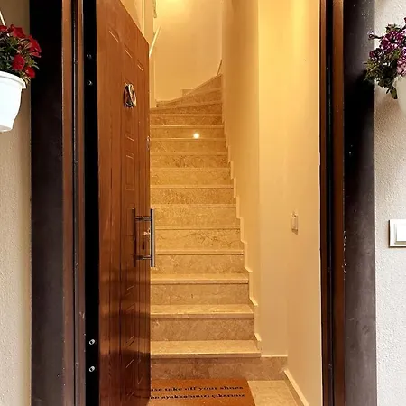 Modern For 6 People In Center